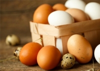 canasta huevos blancos y de color