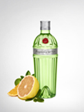 tanqueray