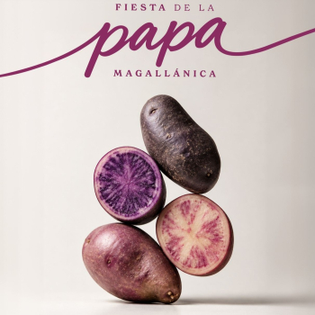 FIESTA DE LA PAPA