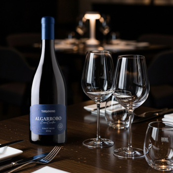 ALGARROBO CERO CUATRO