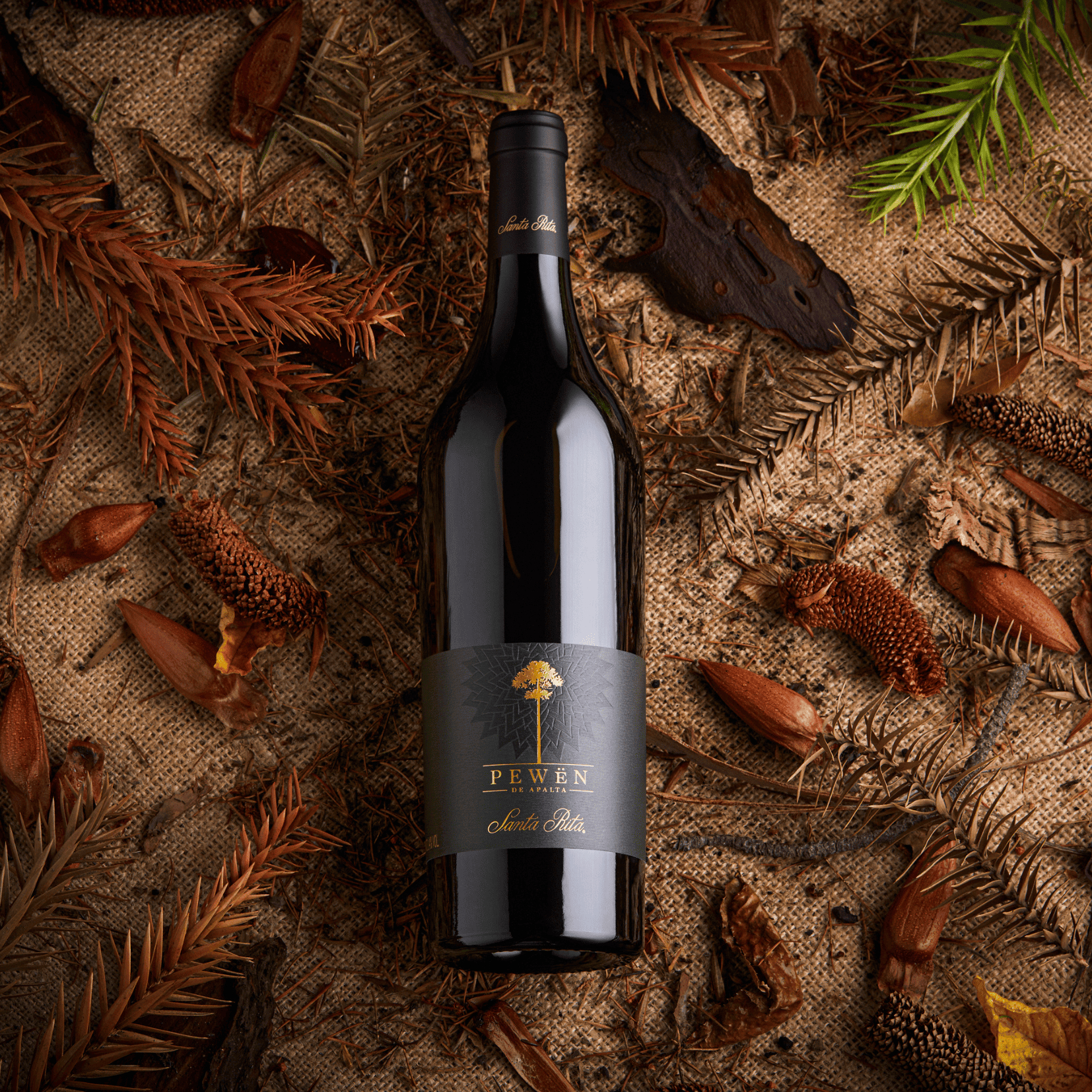 FLORESTA ES ELEGIDA NUEVAMENTE COMO LA MEJOR LÍNEA DE VINOS DE CHILE Y PEWËN DE APALTA DESTACA COMO EL MEJOR CARMENÈRE