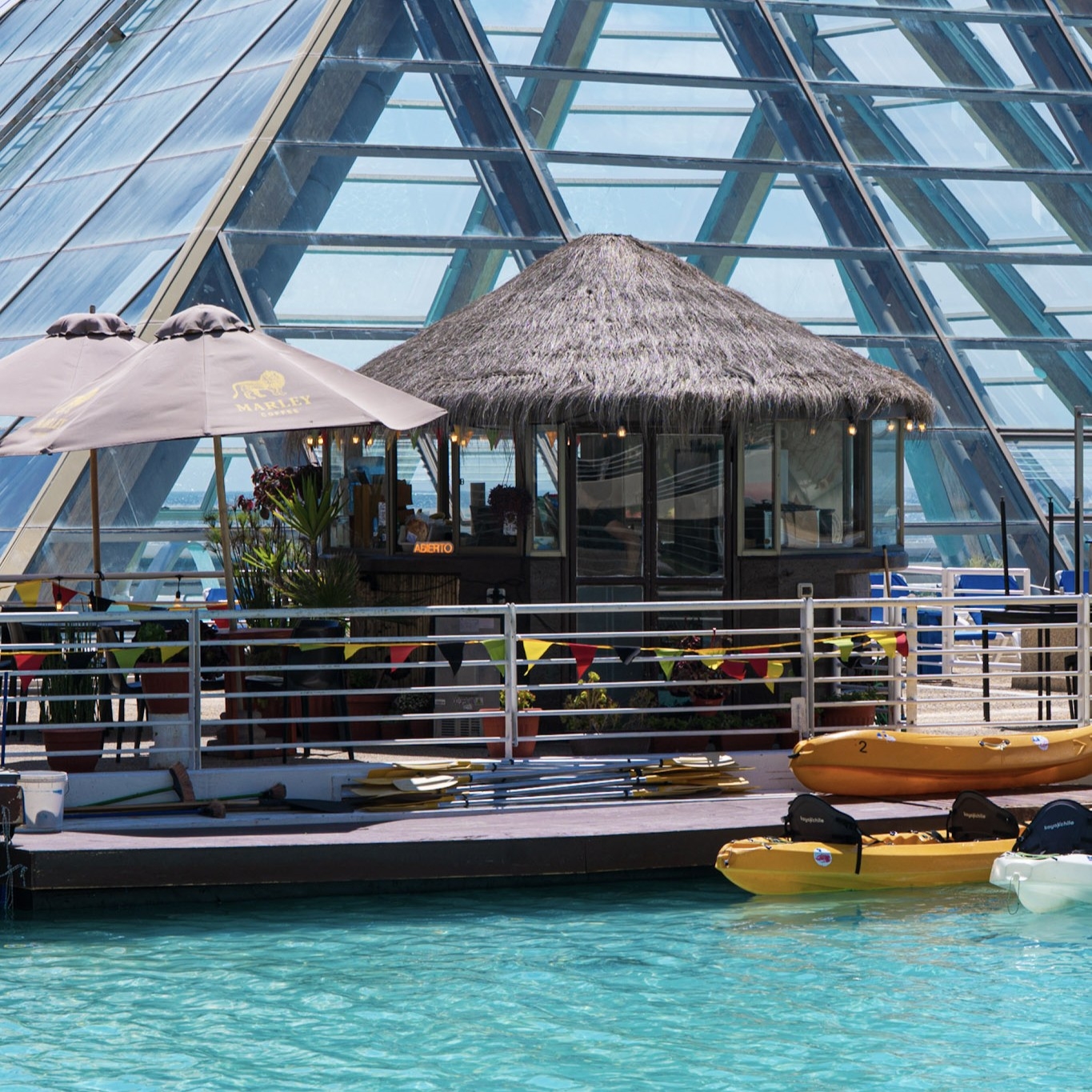 LIONS REGGAE CLUB: UNA EXPERIENCIA DE SABORES, MÚSICA Y RELAJO EN SAN ALFONSO DEL MAR