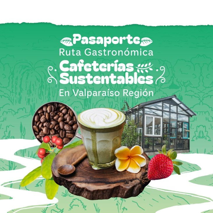 RUTA DE CAFETERÍAS SUSTENTABLES EN VALPARAÍSO QUE ENTREGAN IDENTIDAD Y OFICIO EN CADA TAZA