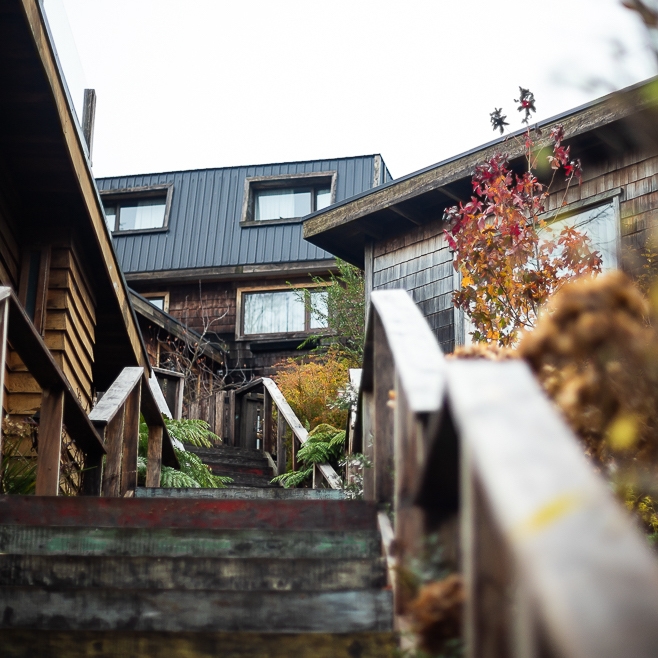 HOTEL AGUA NATIVA EN PUERTO VARAS, IDEAL PARA UNA ESTADÍA ACOGEDORA Y CONECTARSE CON LA NATURALEZA