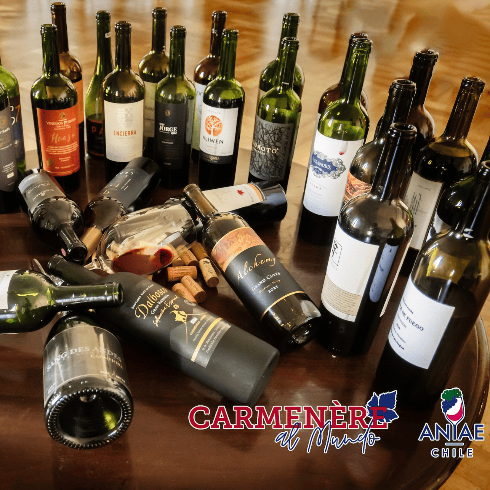 EL VALOR DEL CARMENÈRE EN EL MERCADO INTERNACIONAL