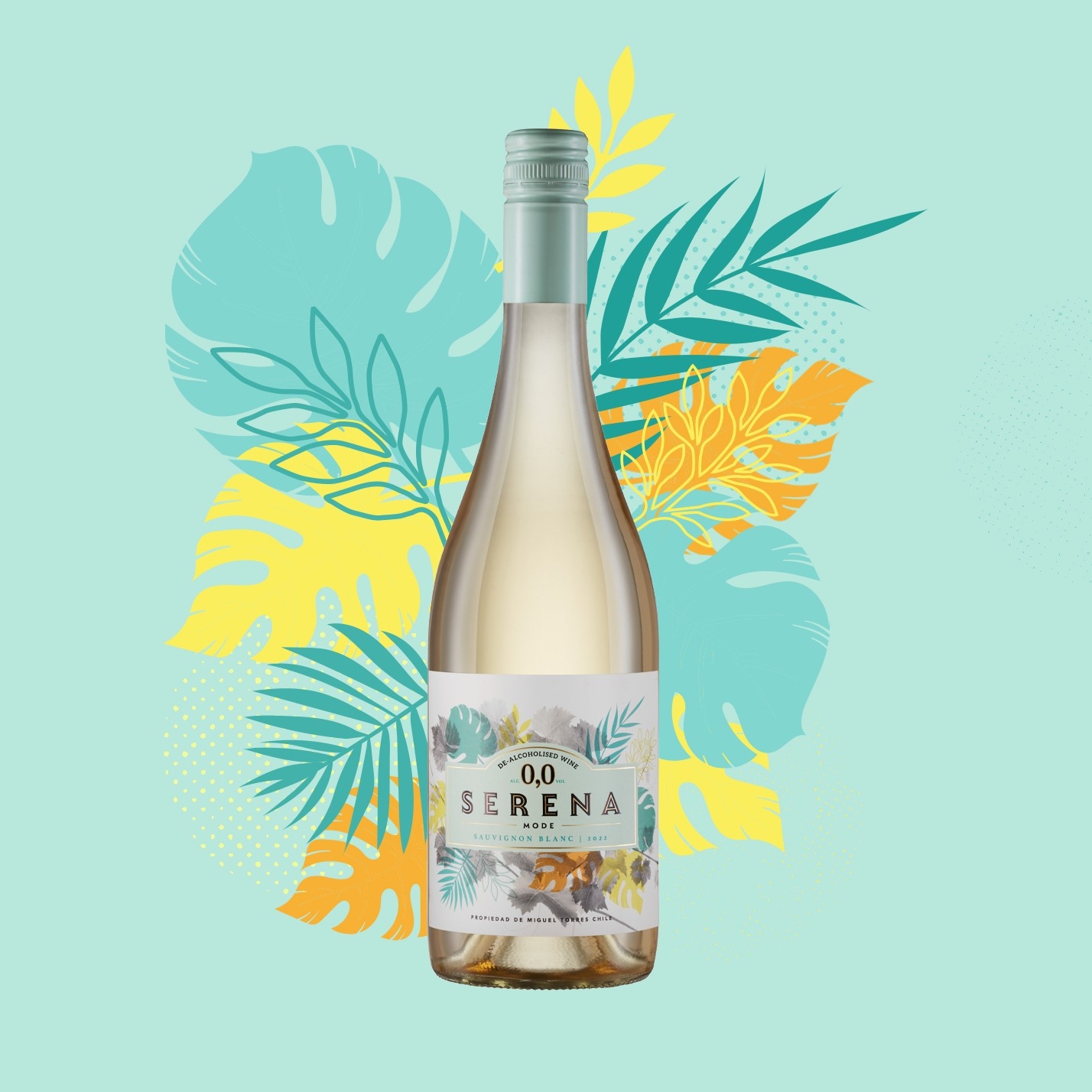 CHILE SE POSICIONA EN EL MAPA MUNDIAL DE LOS VINOS SIN ALCOHOL CON SERENA DE MIGUEL TORRES