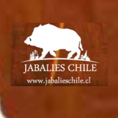 Jabalíes