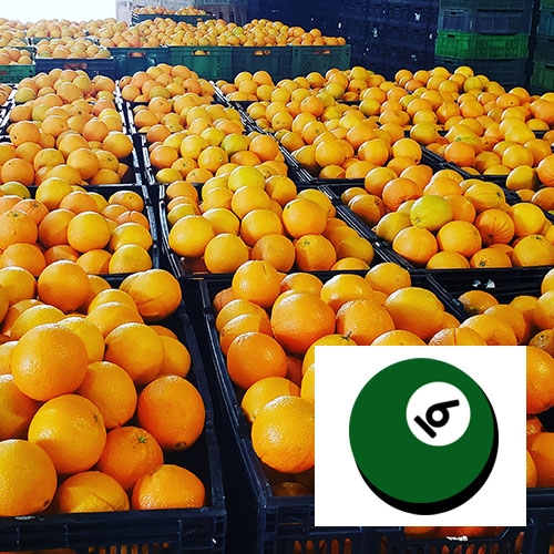Naranjas