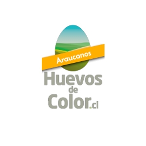 Huevos de Color