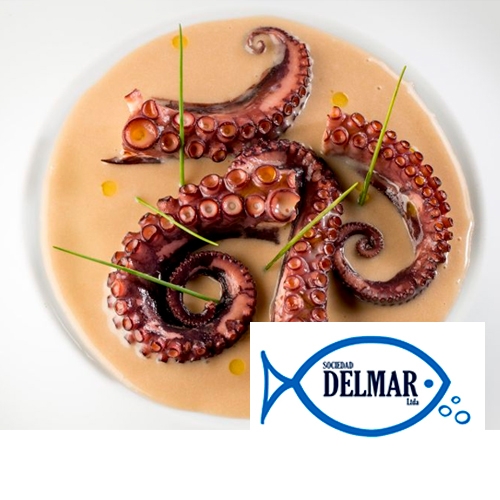 Pulpo Congelado